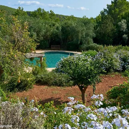Colmena Villa Sant Josep de sa Talaia
