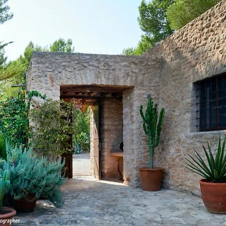 Colmena Villa Sant Josep de sa Talaia