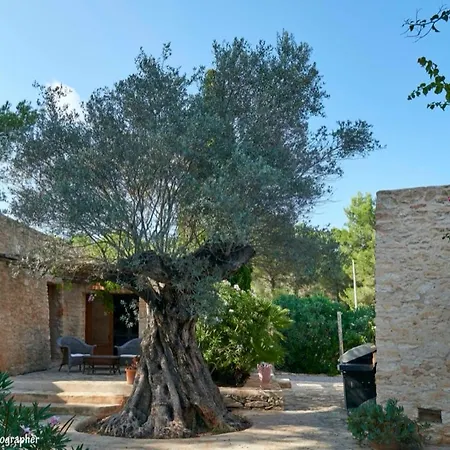 Colmena Villa *