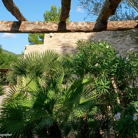 Villa Colmena